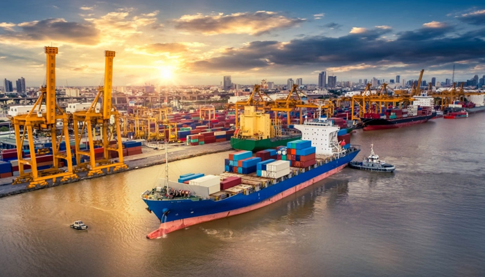 Steps to choose Dubai Cargo Services Company